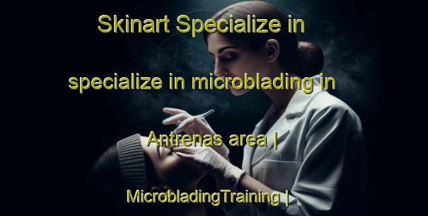 Skinart Specialize in specialize in microblading in Antrenas area | MicrobladingTraining | MicrobladingClasses | SkinartTraining-France